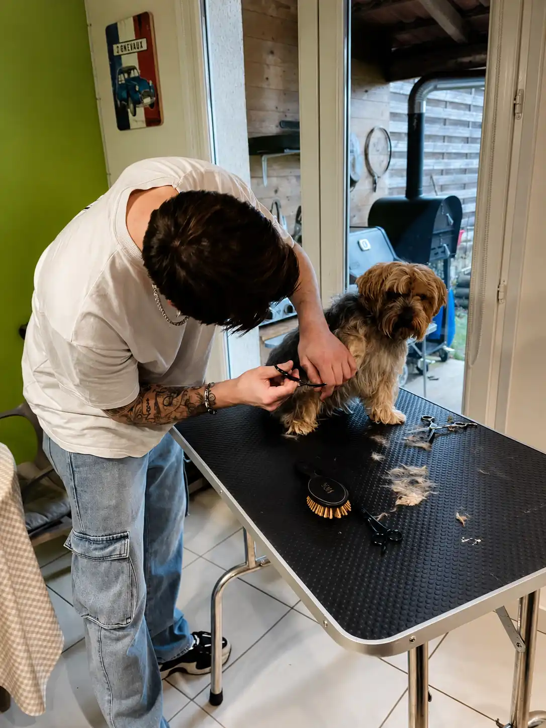 Coupe aux ciseaux sur un chien réalisée à domicile par Julien toiletteur à Nancy