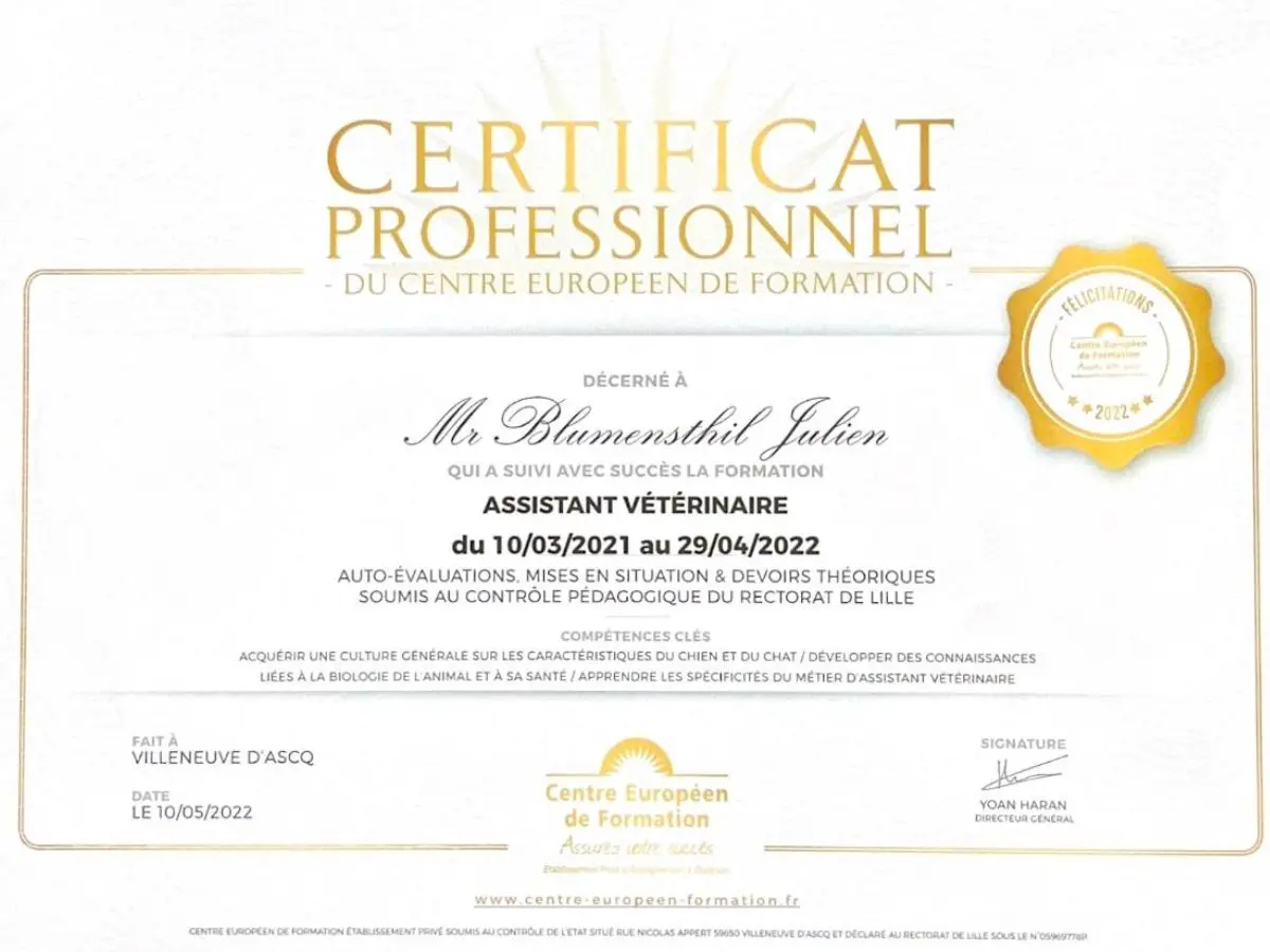 Diplôme d'aide vétérinaire de Julien Blumensthil
