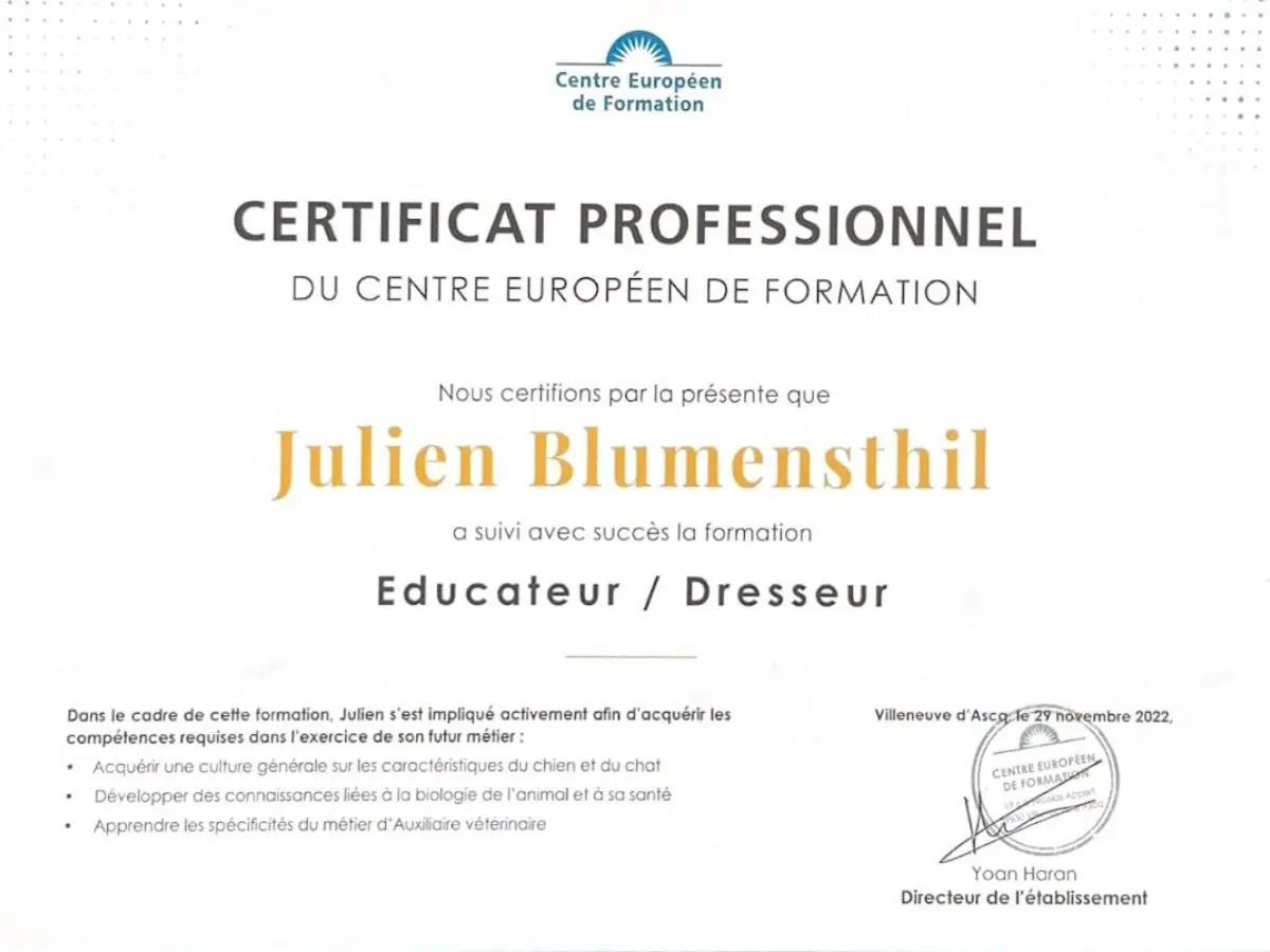 Diplôme d'éducateur canin et félin de Julien Blumensthil