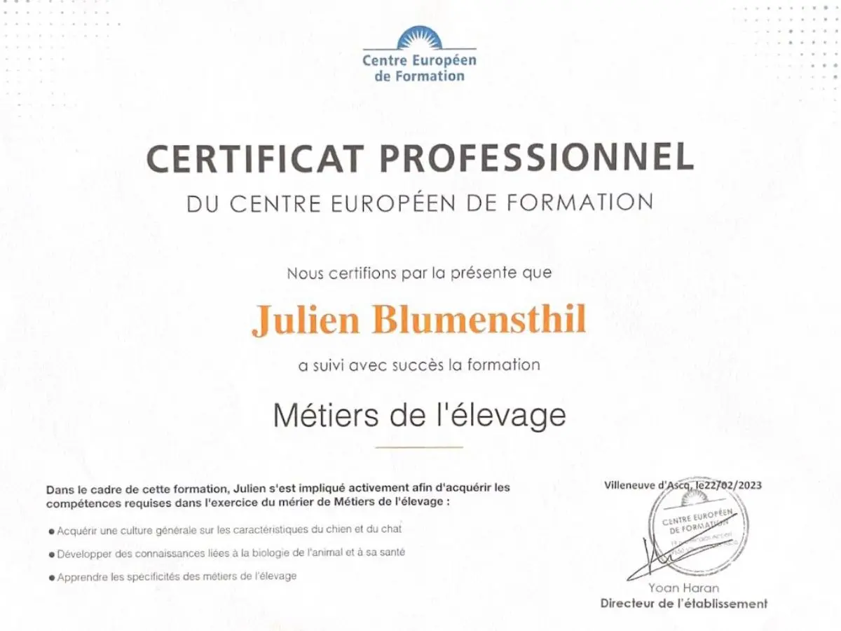 Diplôme d'éleveur canin et félin de Julien Blumensthil