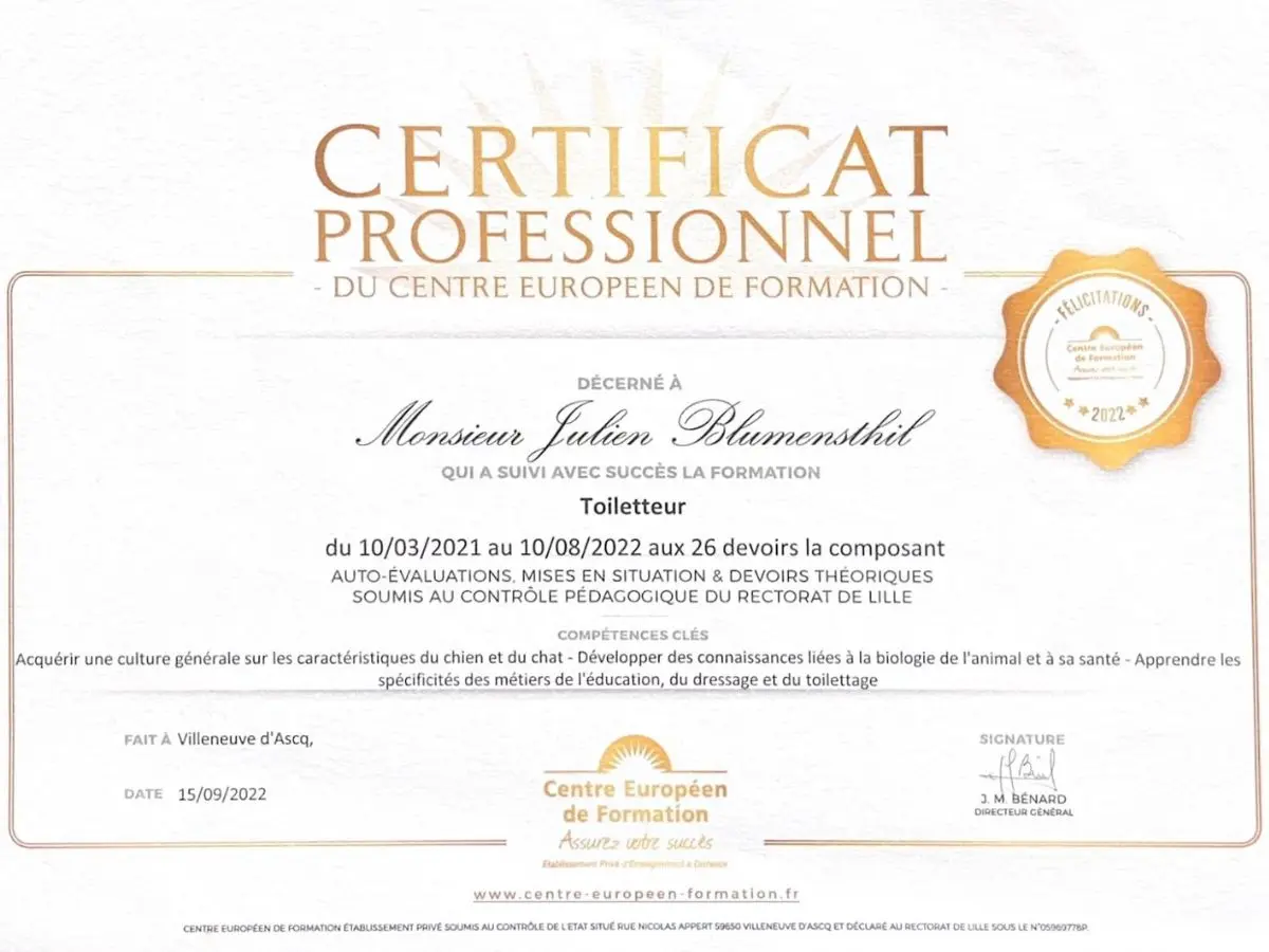 Diplôme de toiletteur canin de Julien Blumensthil