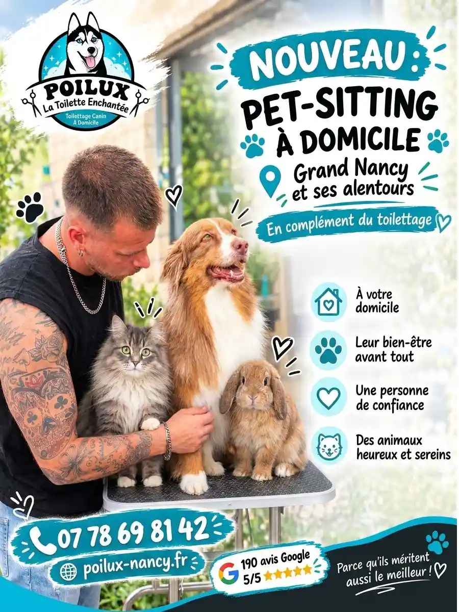 Pet-sitting et garde de chien à domicile à Nancy