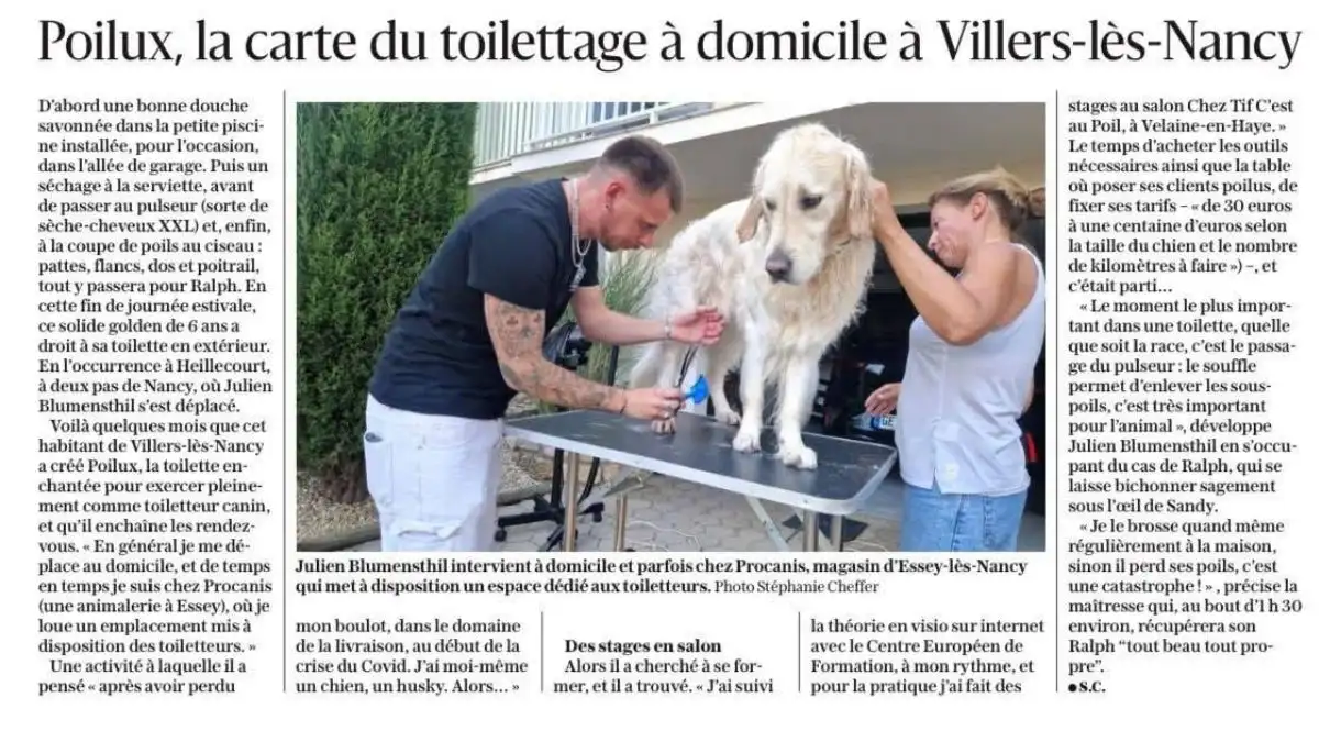 Julien Blumensthil, toiletteur Poilux, présenté dans la presse locale à Nancy