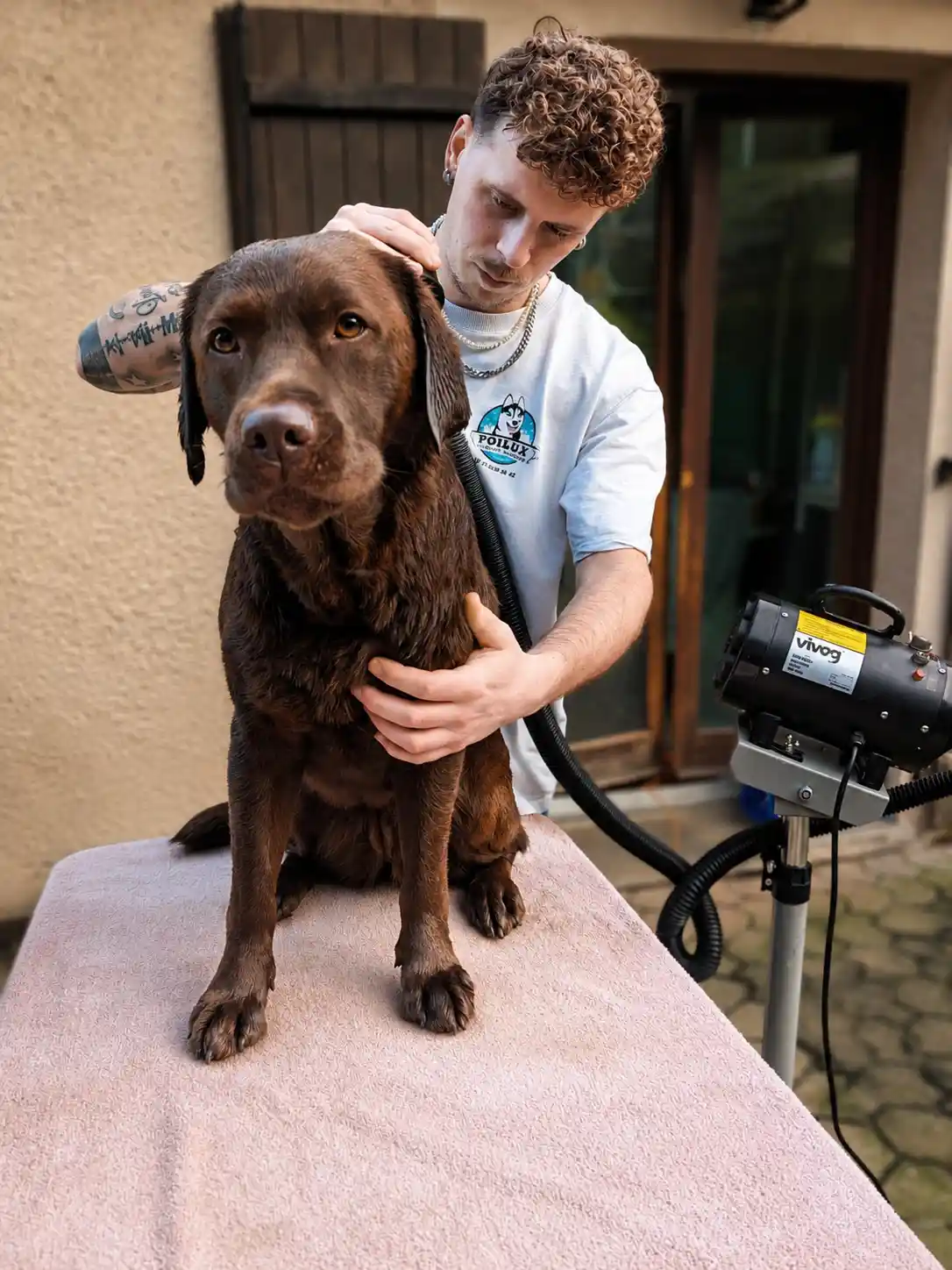 Toilettage d'un chien à domicile à Laxou