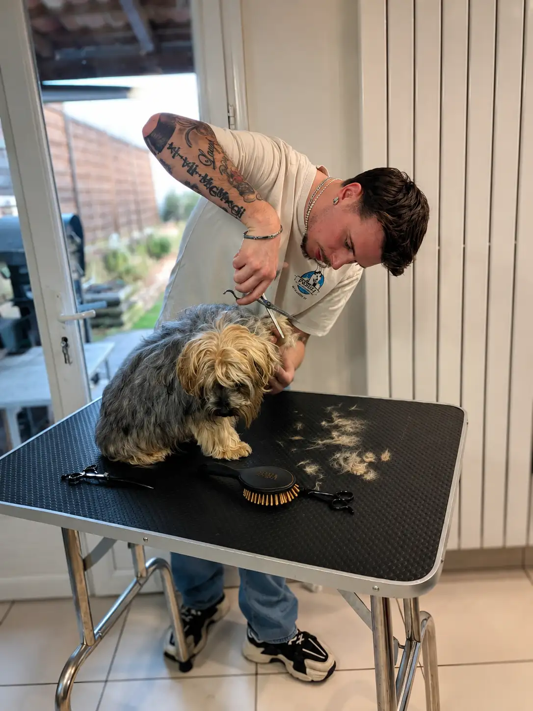 Toilettage d'un chien à domicile à Maxéville